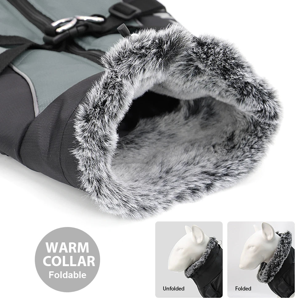 Waterproof Dog Jacket with Built-In Harness