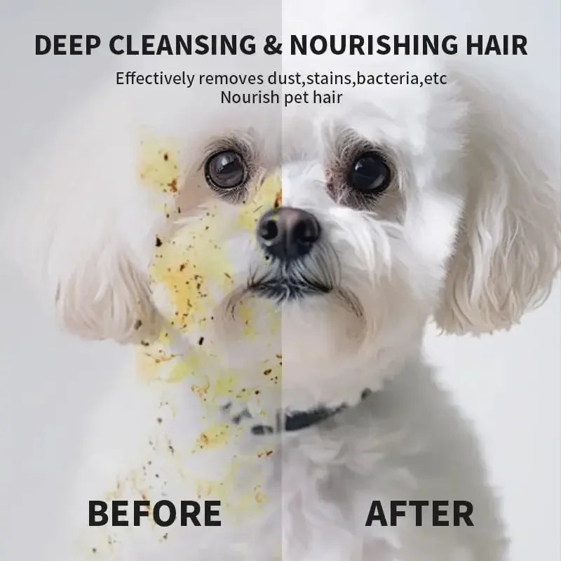 Rinse-Free Pet Bathing Gloves — Unscented Grooming Wipes for Dogs & Cats
