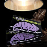 Reptile UVB Light Test Card — Reusable UV Strength Tester