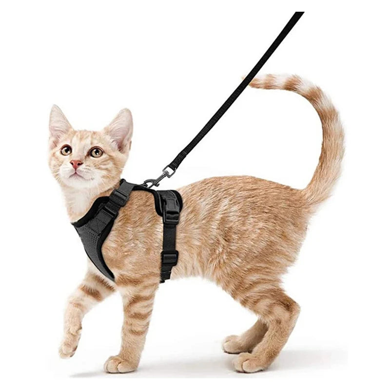 Anti-Escape Kitten Harness & Leash Set — Lightweight Breathable Vest