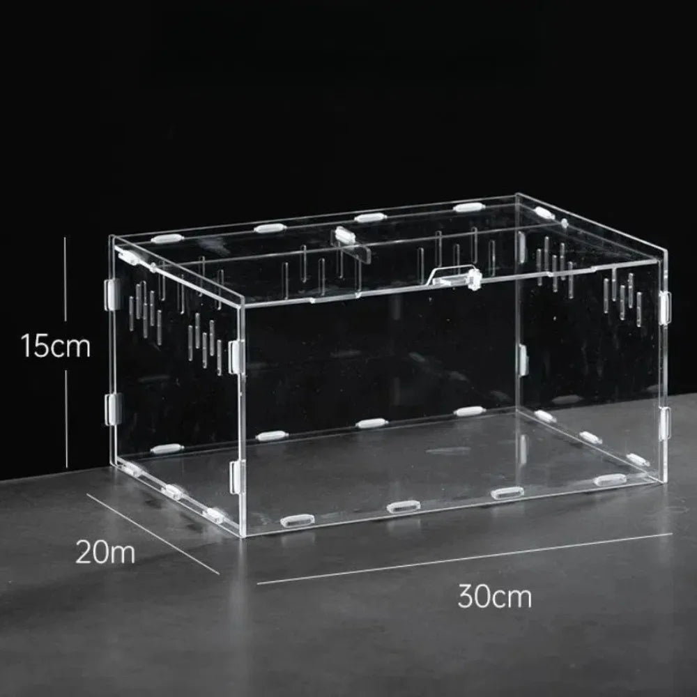 Clear Acrylic Reptile Habitat — Anti-Escape Breeding Box for Chameleons & Spiders