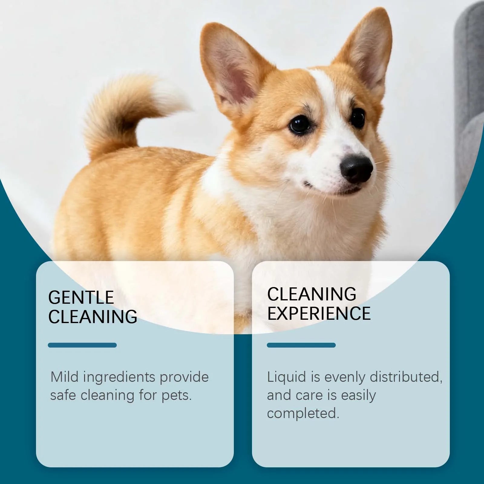 Soothing Ear Itch Relief Drops for Dogs — Gentle Nourishing Cleaner, 60ml