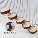 Wooden Climbing Ladder — Cage Perch for Small Pets & Birds