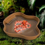 Multi-Use Turtle & Frog Bathing Basin — Food, Water & Soaking Bowl for Reptiles