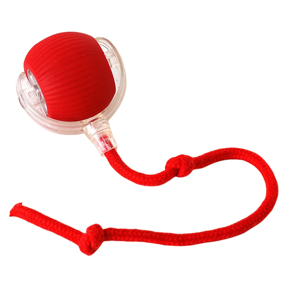 Auto Bouncing Ball Cat Toy — Rechargeable, Motion-Activated, 3 Modes