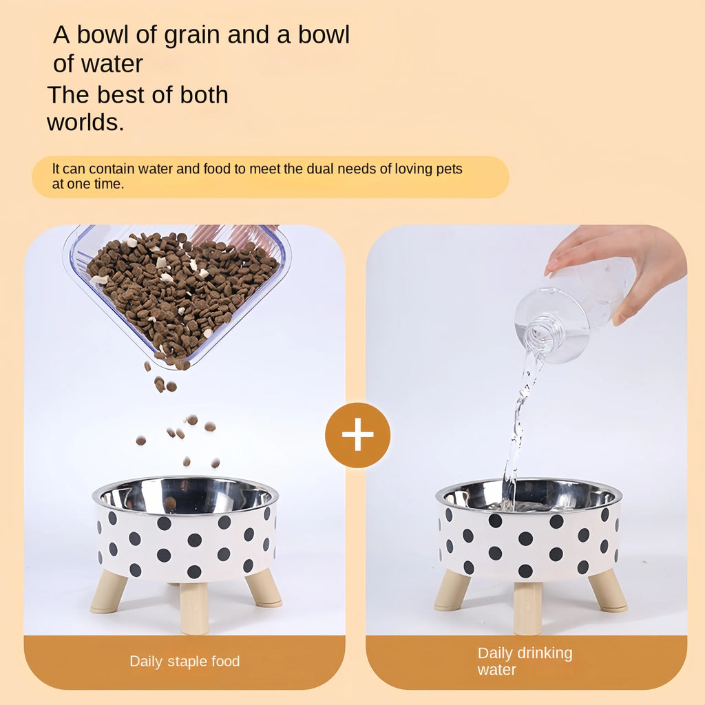 Raised Stainless Steel Pet Feeder Bowl