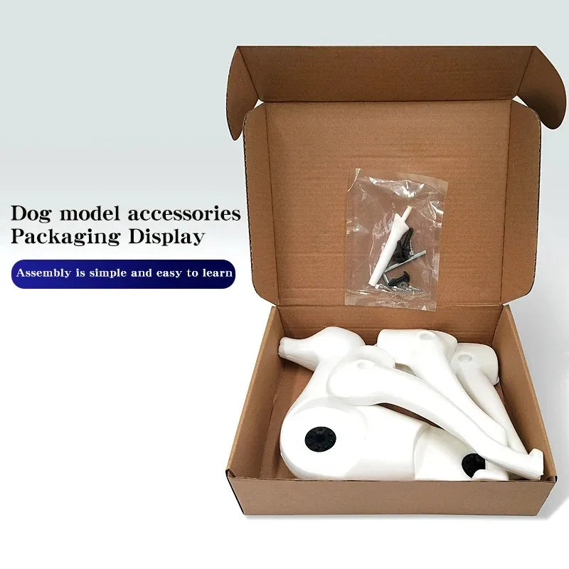 Bichon Grooming Practice Model with Wig