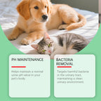 Pet Urine pH Maintenance Drops — Gentle Daily Bacteria-Reducing Formula
