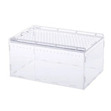 Ventilated Acrylic Terrarium — Anti-Escape Habitat for Geckos & Small Reptiles