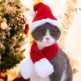 Christmas Pet Costume Set (Santa Hat & Scarf, Adjustable)
