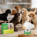Calming Aromatherapy Diffuser for Dogs