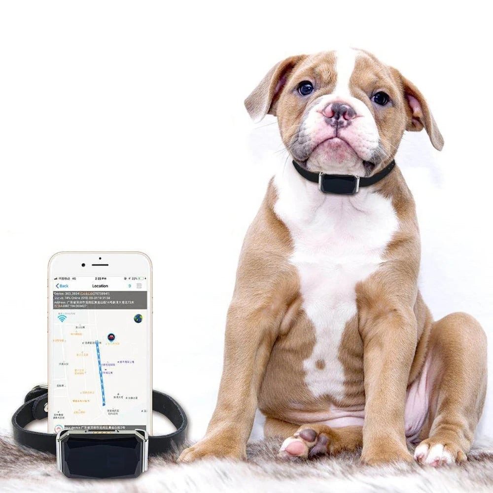Multi-Mode GPS Pet Tracker - GPS, AGPS, WiFi & LBS, IP67 Waterproof