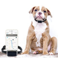 Multi-Mode GPS Pet Tracker - GPS, AGPS, WiFi & LBS, IP67 Waterproof