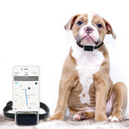 Multi-Mode GPS Pet Tracker - GPS, AGPS, WiFi & LBS, IP67 Waterproof