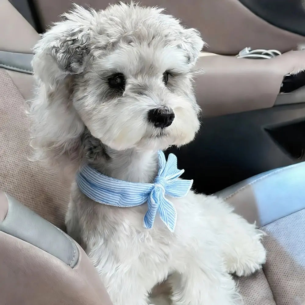 Pet Cooling Ice Scarf 2-Pack (Reusable, Fast-Cooling, Adjustable Neck)
