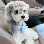 Pet Cooling Ice Scarf 2-Pack (Reusable, Fast-Cooling, Adjustable Neck)