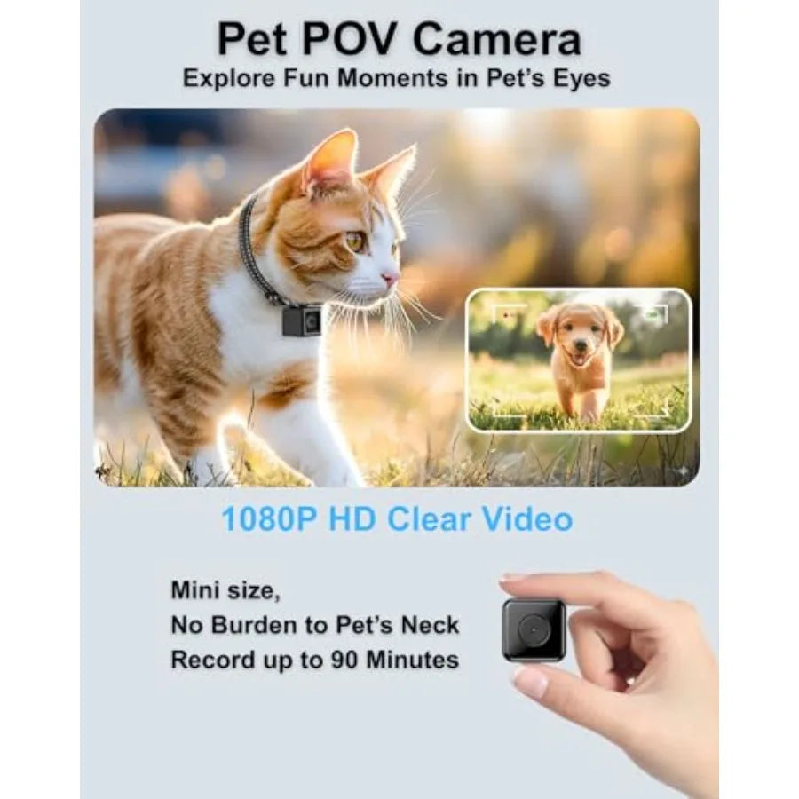 1080P HD Cat Camera Collar - No WiFi, No App Needed Mini Pet POV Cam