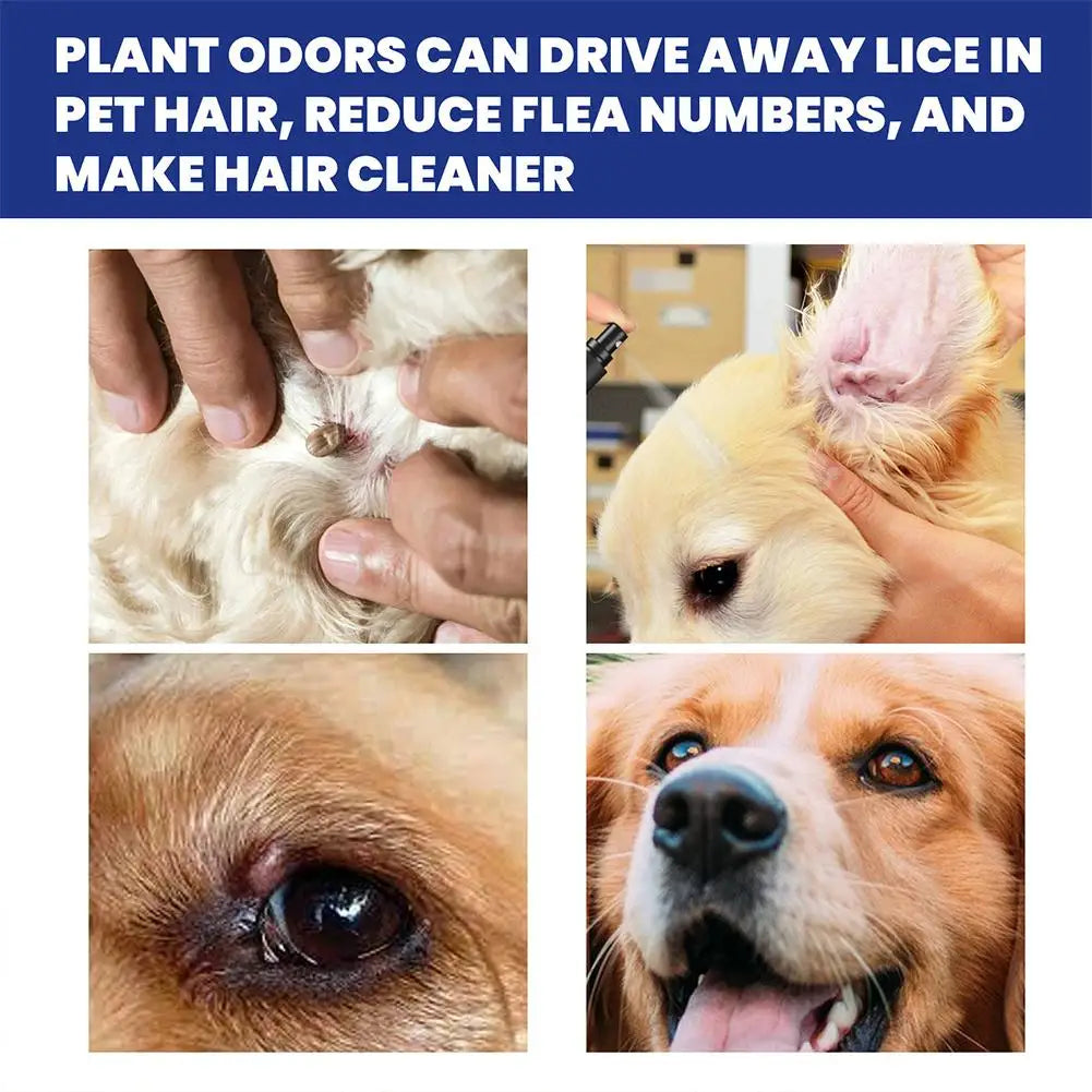 Plant Essence Flea & Tick Spray — Herbal Formula for Dogs & Cats, 100ml