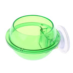 Anti-Escape Reptile Feeding Bowl — Suction-Mount Food & Water Dish