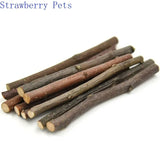 Natural Apple Wood Chew Sticks — Teeth Grinding Sticks for Small Pets
