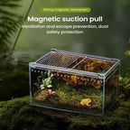 Transparent Acrylic Terrarium — Ventilated Enclosure for Spiders, Geckos & More
