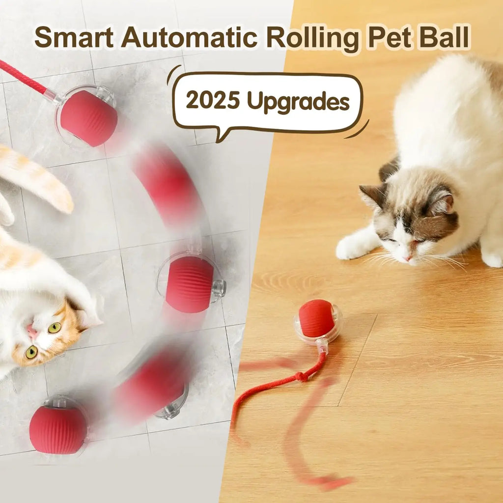 Auto Rolling Ball Cat Toy with Tail — Rechargeable Smart Mouse Teaser