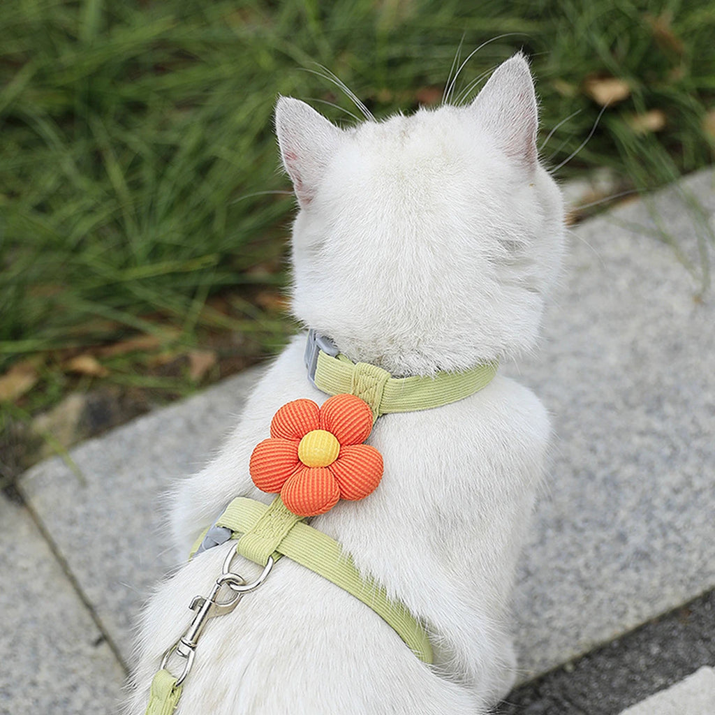 Step-In Harness & Leash Set for Cats & Dogs