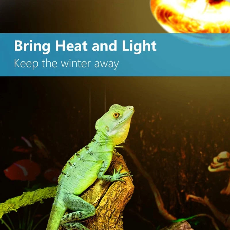 2-Pack UVA/UVB Reptile Heat Lamp — Sun-Like Basking Bulb, 75W