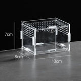 Clear Acrylic Reptile Habitat — Anti-Escape Breeding Box for Chameleons & Spiders