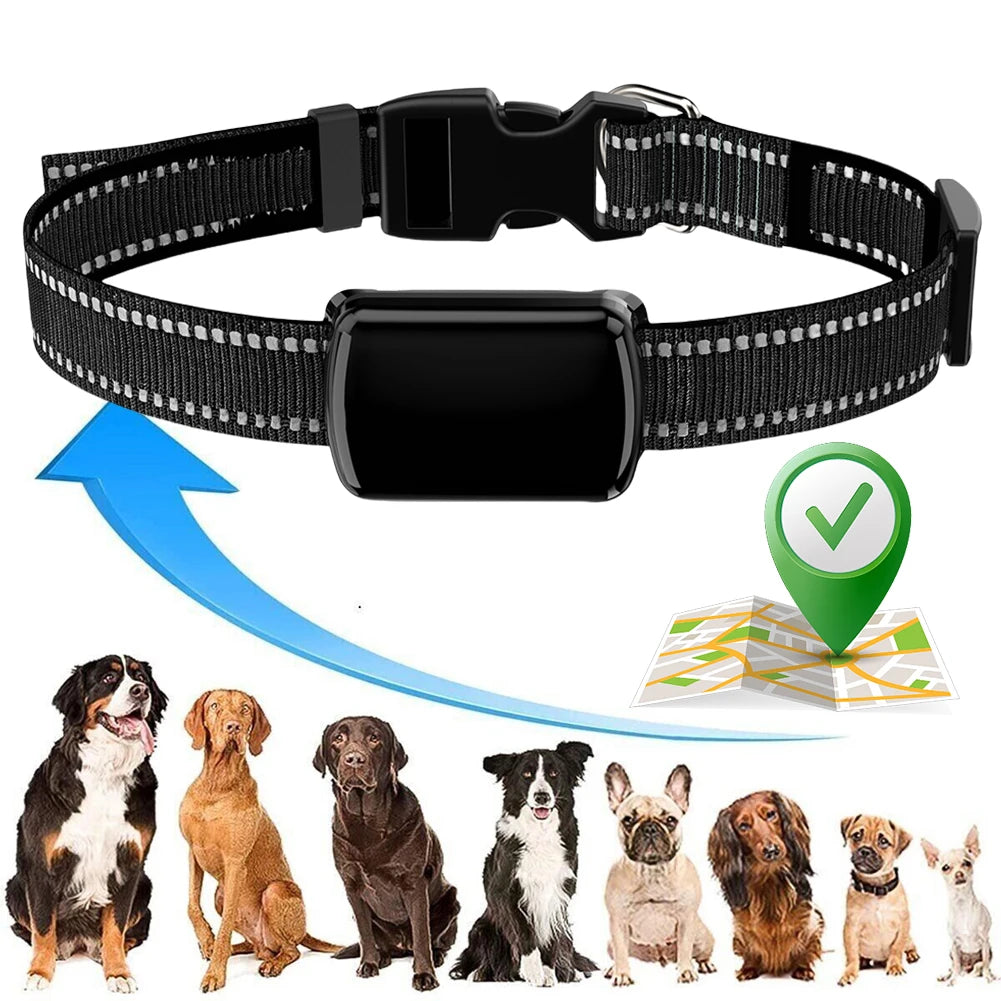 Smart GPS Cat Collar with Adjustable Fit - Real-Time Anti-Loss Tracking