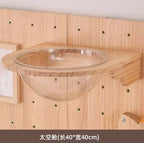 Wall-Mounted Cat Climbing Shelf & Hammock