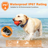 1000M Waterproof Dog Training Collar