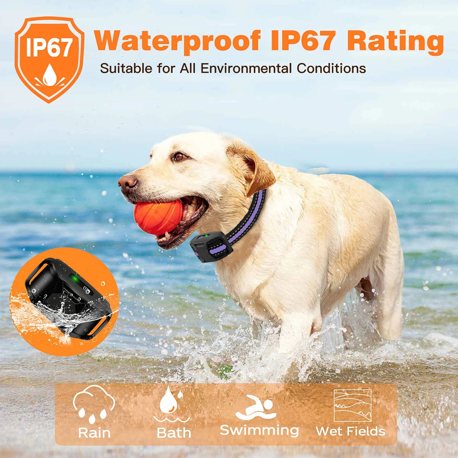 1000M Waterproof Dog Training Collar