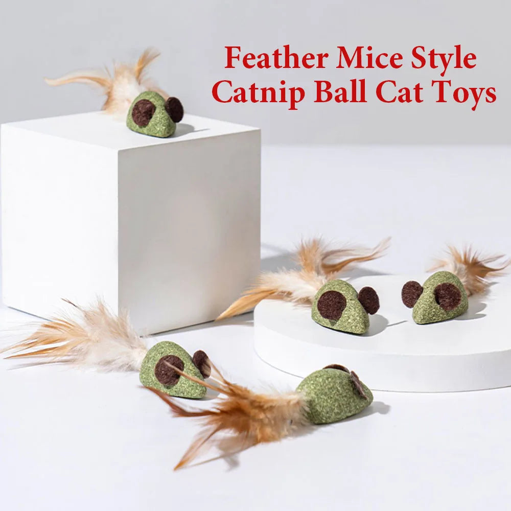 Mint Catnip Feather Ball Cat Toy — Self-Cleaning Teeth Grinding & Dental Play Toy