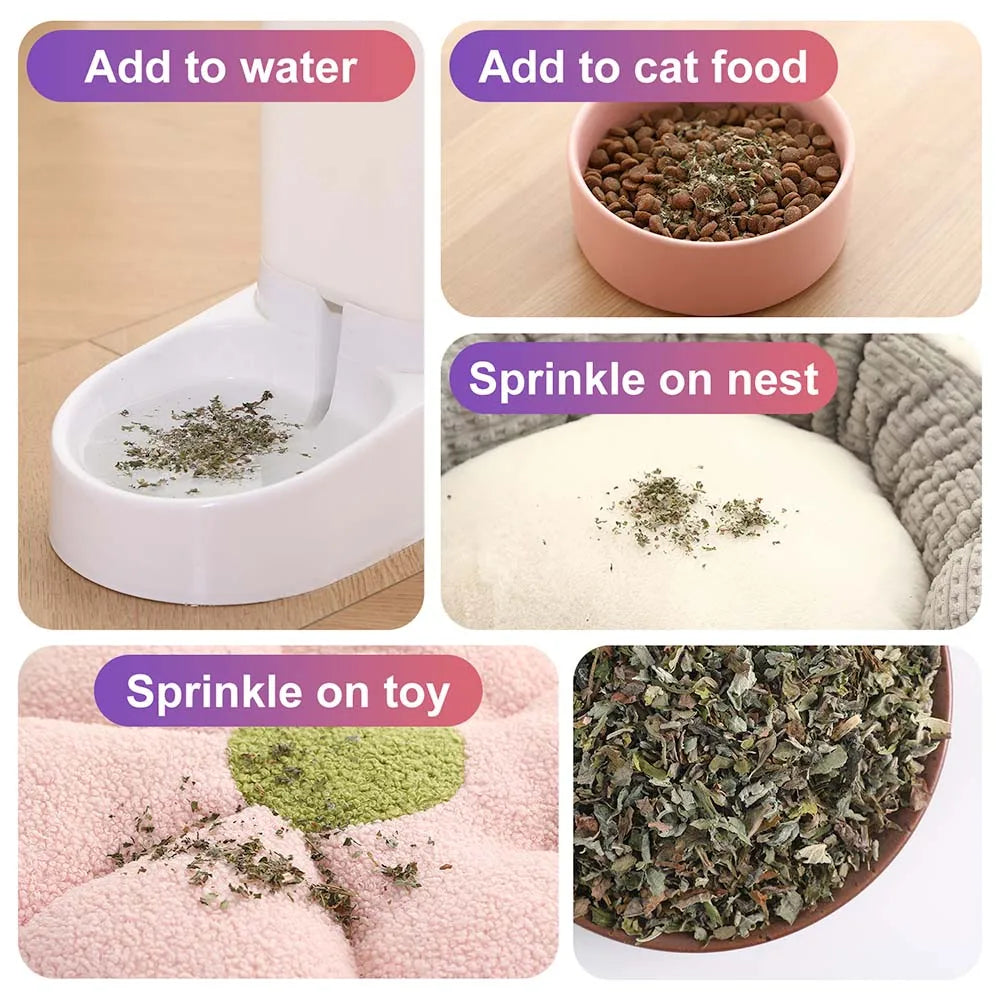 Premium Catnip for Cats (56g Jar)