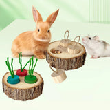 Wooden Foraging Chew Toy — Round Enrichment Toy for Small Pets & Birds