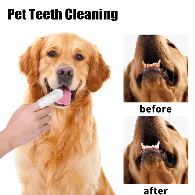 50-Count Pet Finger & Beauty Wipes — Teeth, Ear & Eye Cleaning for Dogs & Cats