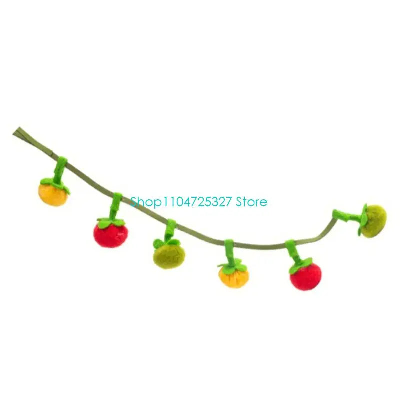 Colorful Tomato Tassel Cat Teaser Wand — Interactive Indoor Play Toy for Cats