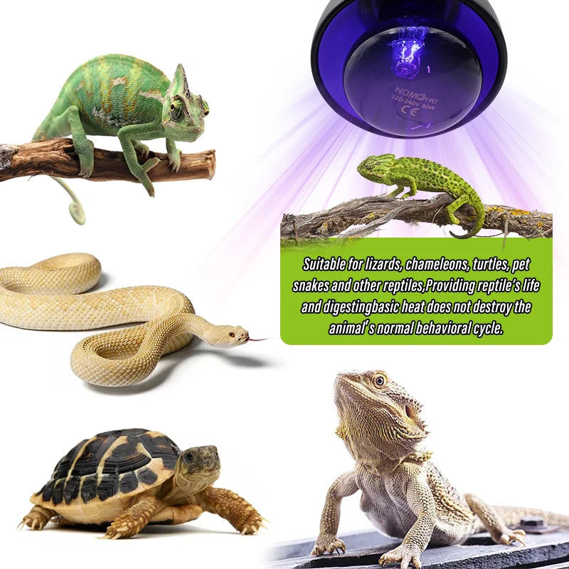 E27 Night Heat Lamp — UV Reptile Bulb for Amphibians & Snakes, 25W-100W
