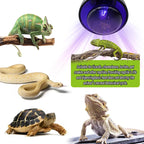 E27 Night Heat Lamp — UV Reptile Bulb for Amphibians & Snakes, 25W-100W