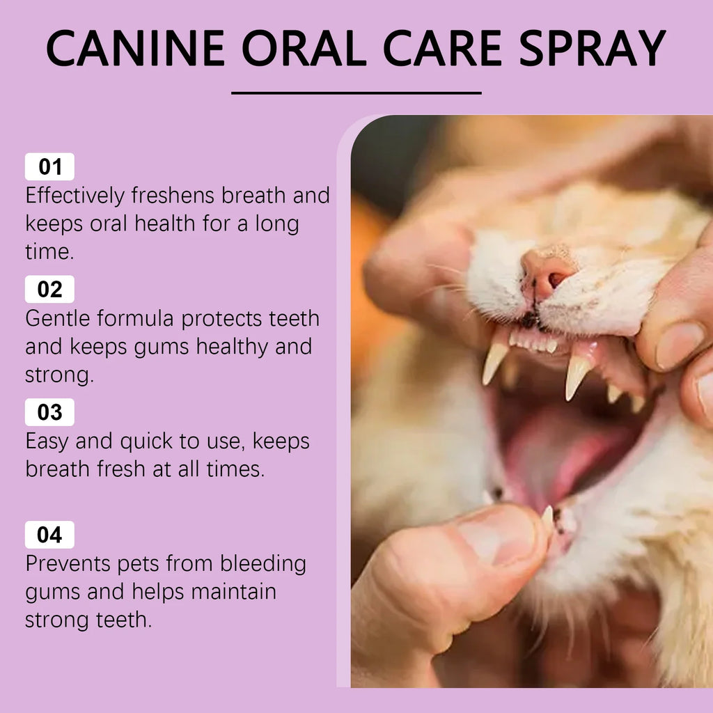 Natural Pet Oral Care Spray — Tartar & Stain Reducing, Fresh Breath, 100ml