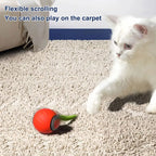 Bouncing Smart Ball Toy for Cats & Dogs