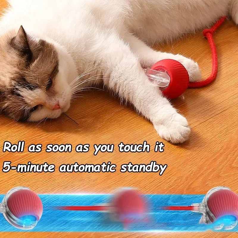 Smart Rolling Ball Toy with Faux Tail — Rechargeable Mouse Mimic