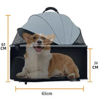 3-in-1 Lightweight Foldable Pet Stroller for Small & Medium Dogs & Cats — Outdoor Carrier with Car Seat Mode