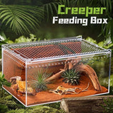 Ventilated Acrylic Terrarium — Anti-Escape Habitat for Geckos & Small Reptiles