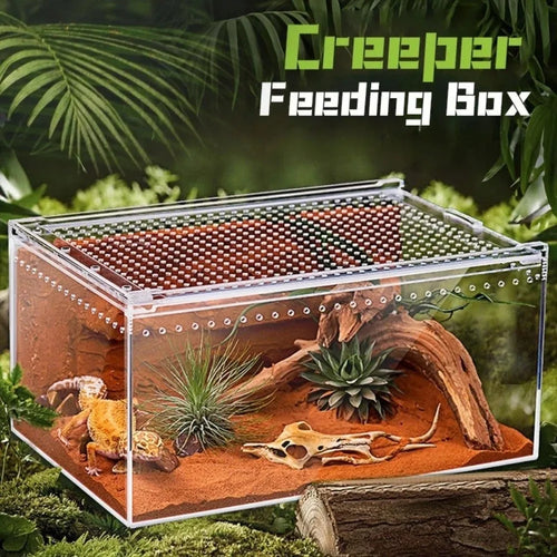 Ventilated Acrylic Terrarium — Anti-Escape Habitat for Geckos & Small Reptiles