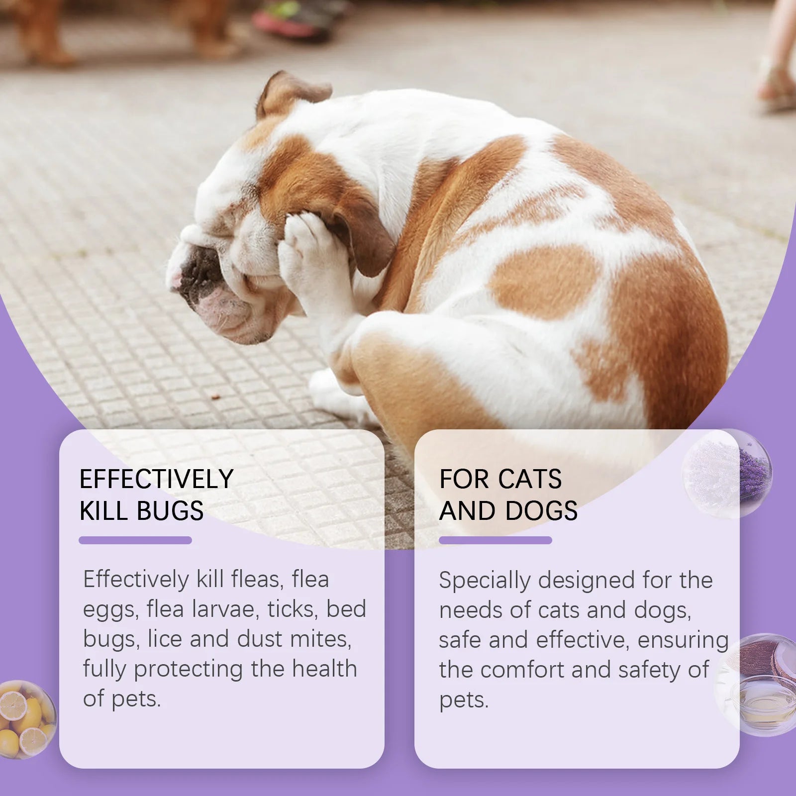 Flea & Tick Repellent Spray for Dogs & Cats — Mild, Waterproof Formula