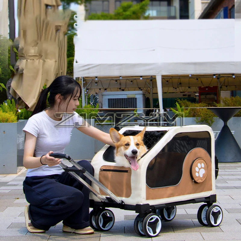 Fashionable Detachable Foldable Pet Trolley Case & Travel Carrier for Cats & Dogs