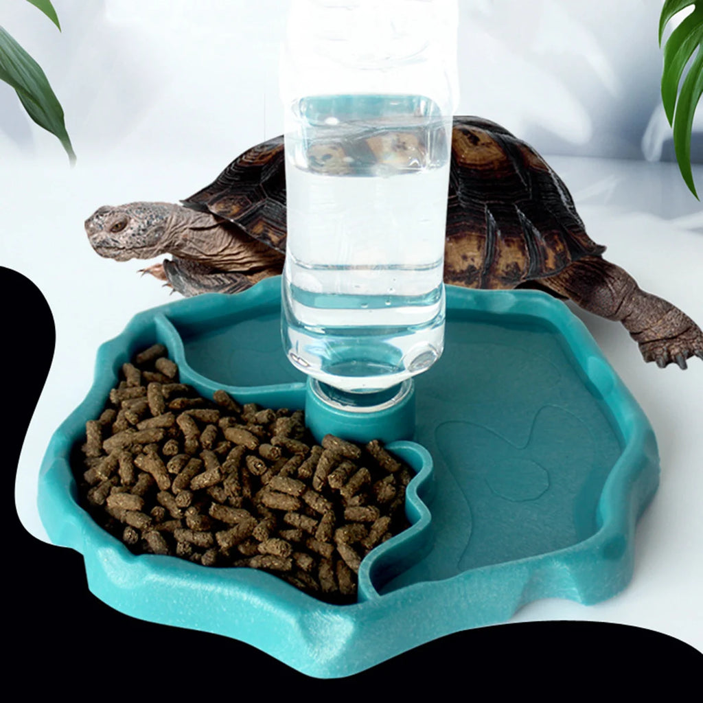 Removable Reptile Feeding Dish — Easy-Clean Bowl for Turtles & Small Pets