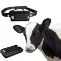 4G Solar GPS Collar Tracker for Livestock & Cattle with 20,000mAh Battery - IP67 Waterproof